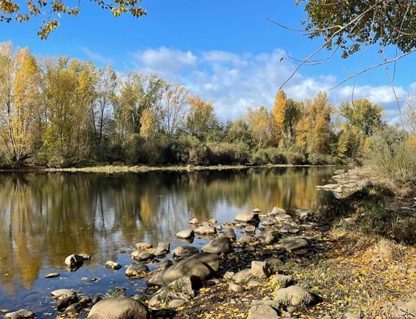 Une rivière calme qui représente le soulagement des douleurs physiques